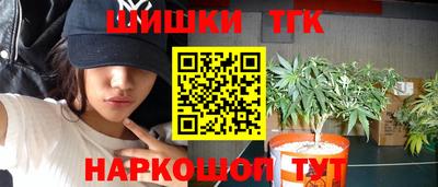 гидропоника Краснознаменск